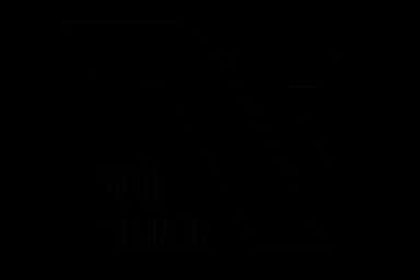 tvujtrener.com logo